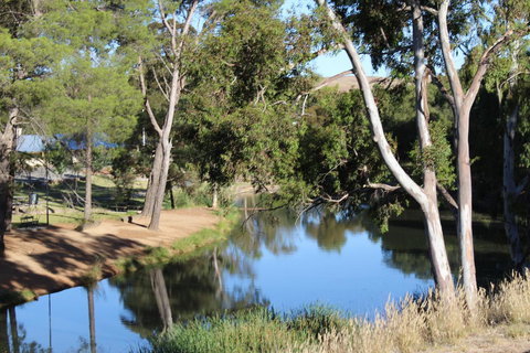 Hillside Cottage - Kawana Tourism 11