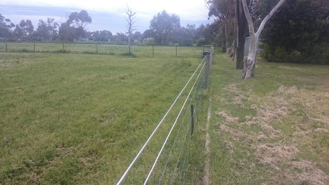 Gaerwood B&B - Kawana Tourism 17