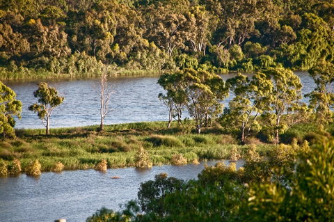Riverview Rise Retreats - Kawana Tourism 25