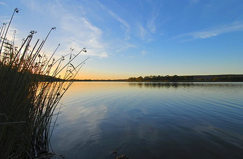 Riverview Rise Retreats - Kawana Tourism 14