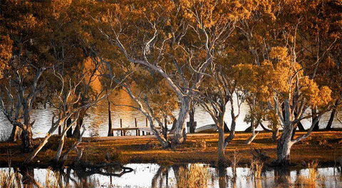 Riverview Rise Retreats - Kawana Tourism 4