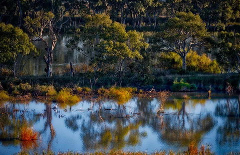 Riverview Rise Retreats - Kawana Tourism 7