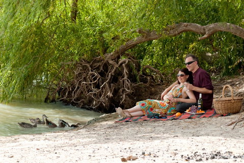 Riverview Rise Retreats - Kawana Tourism 31