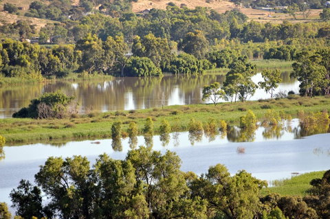 Riverview Rise Retreats - Kawana Tourism 19