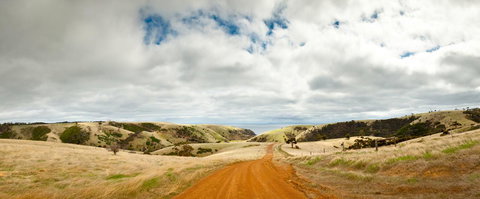 Penneshaw Oceanview Apartments - Kawana Tourism 20