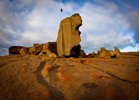 Penneshaw Oceanview Apartments - Kawana Tourism 23