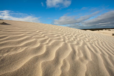 Penneshaw Oceanview Apartments - Kawana Tourism 24