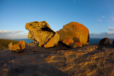 Penneshaw Oceanview Apartments - Kawana Tourism 21