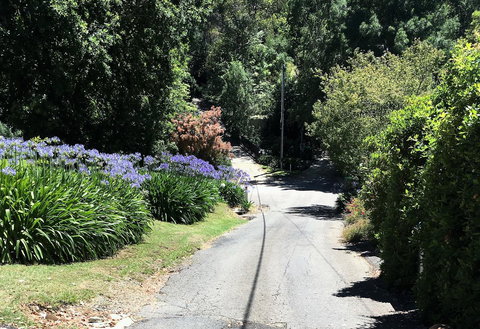 Hilltop - Kawana Tourism 2