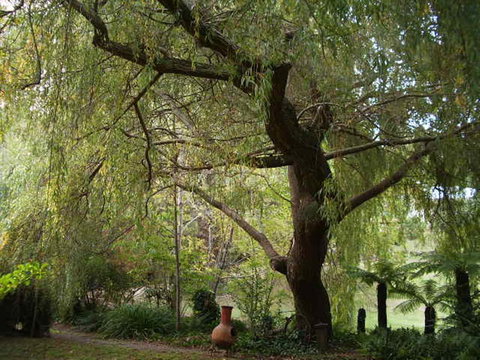 Hilltop - Kawana Tourism 14