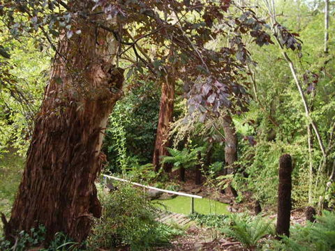 Hilltop - Kawana Tourism 13