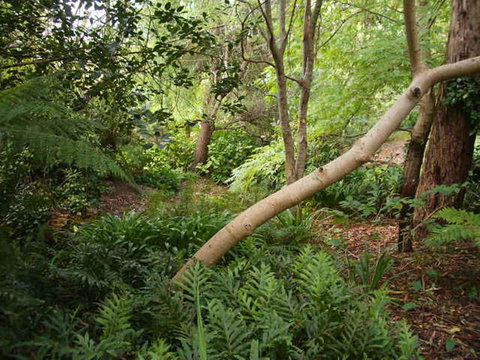 Hilltop - Kawana Tourism 17