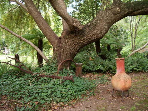 Hilltop - Kawana Tourism 18