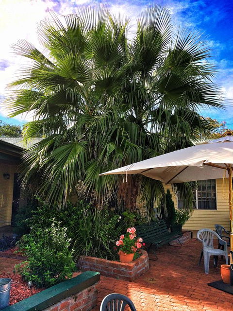 Ten Dollar Town Motel - Kawana Tourism 17