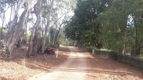 Taralee Orchards - Kawana Tourism 4