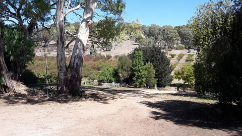 Taralee Orchards - Kawana Tourism 3