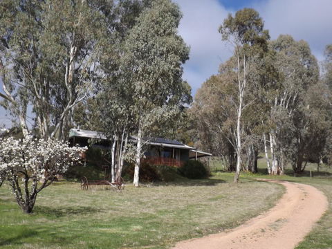 Taralee Orchards - Kawana Tourism 9