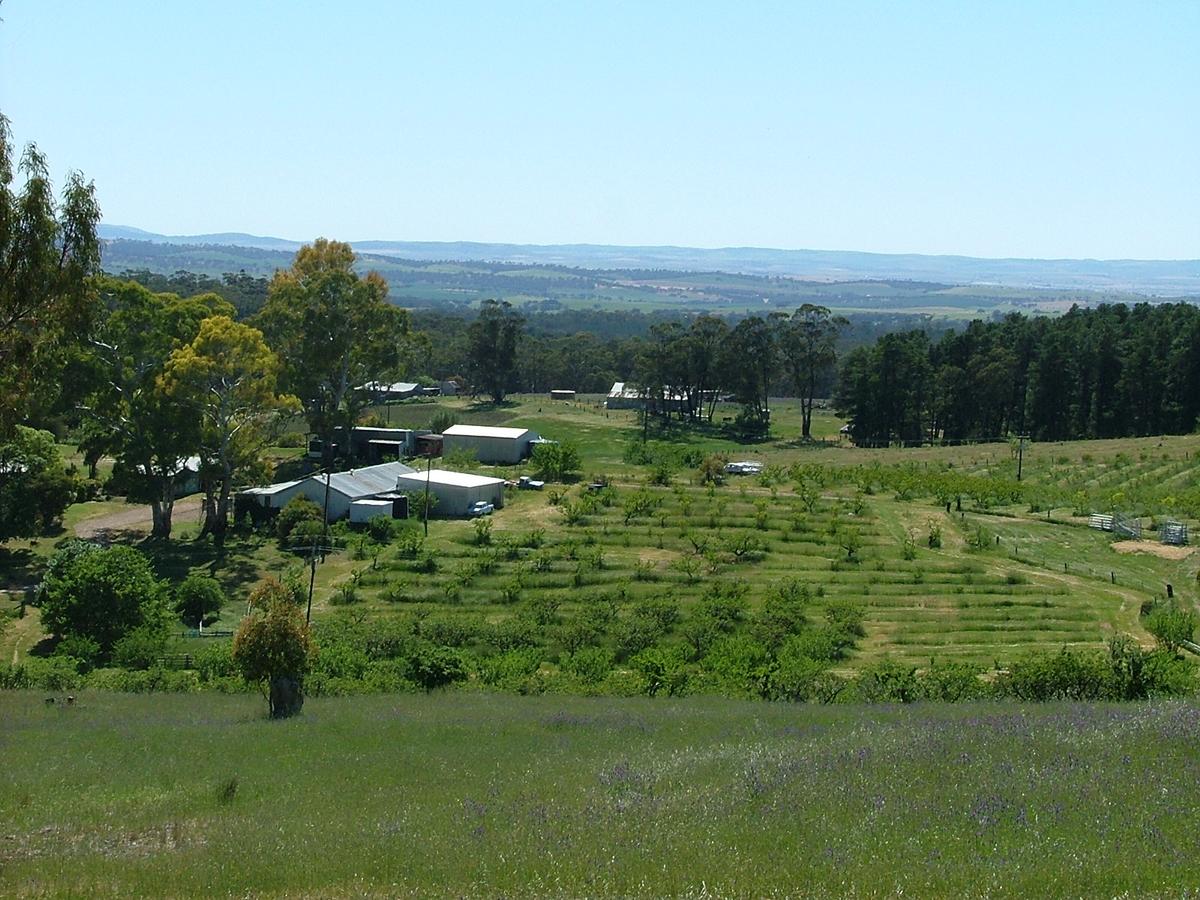 Wirrabara SA Kawana Tourism
