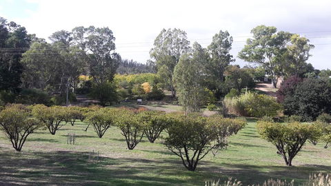 Taralee Orchards - Kawana Tourism 1