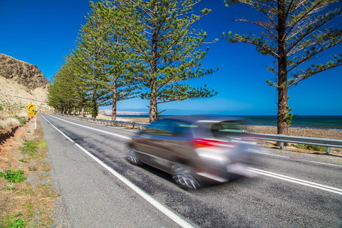 Lady Bay Hotel - Kawana Tourism 26