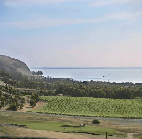 Lady Bay Hotel - Kawana Tourism 19