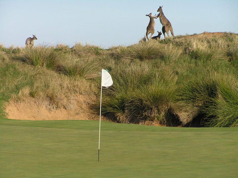 Lady Bay Hotel - Kawana Tourism 17