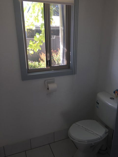SHAKIN' SHACK - Kawana Tourism 17