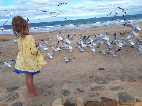 Moana Beach Tourist Park - Kawana Tourism 9
