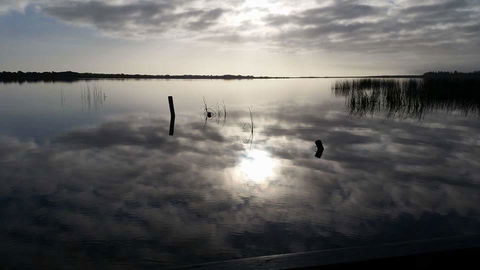 PS Federal Retreat Paddle Steamer Goolwa - Kawana Tourism 16