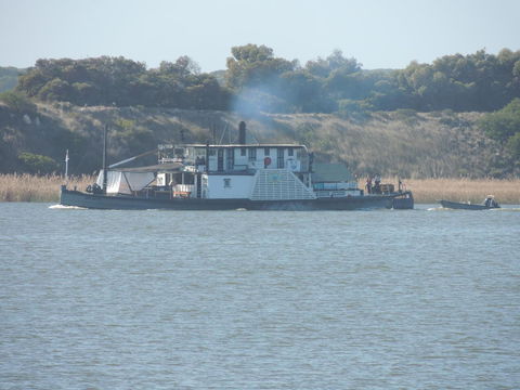 PS Federal Retreat Paddle Steamer Goolwa - Kawana Tourism 10