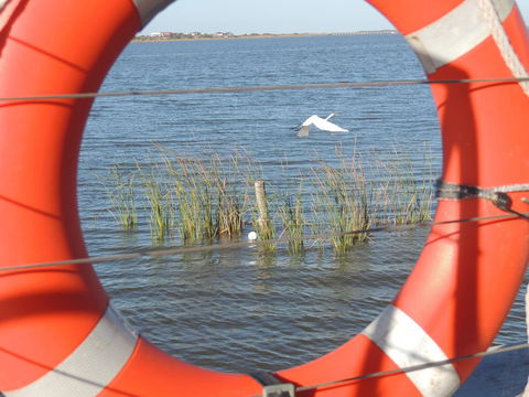 PS Federal Retreat Paddle Steamer Goolwa - Kawana Tourism 18