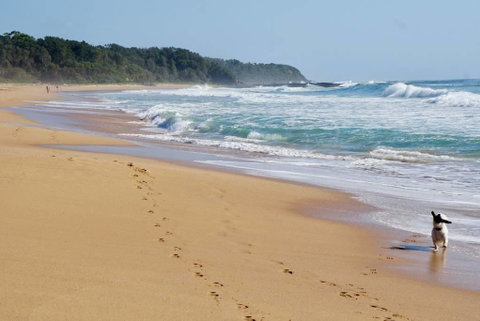 Culburra Beachhouse - Kawana Tourism 7