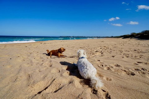 Culburra Beachhouse - Kawana Tourism 8