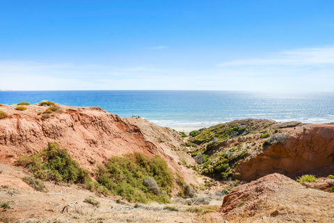 Salomon Sea Haus - Sellicks Beach - C21 SouthCoast Holidays - Kawana Tourism 1