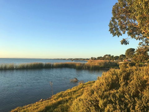 Lake Albert Motel - Kawana Tourism 8