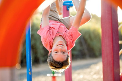 BIG4 Renmark Riverfront Holiday Park - Kawana Tourism 28