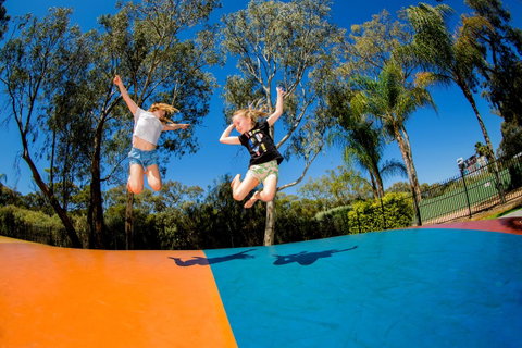 BIG4 Renmark Riverfront Holiday Park - Kawana Tourism 37