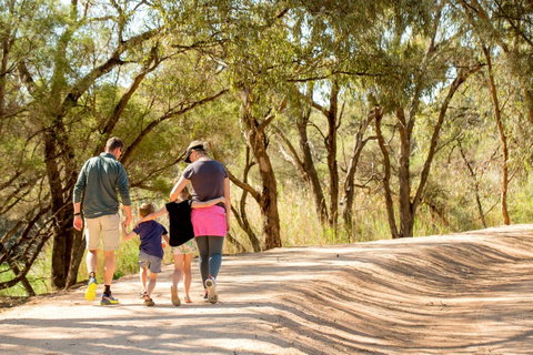 BIG4 Renmark Riverfront Holiday Park - Kawana Tourism 13