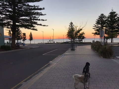 BIG4 Ceduna Tourist Park - Kawana Tourism 34