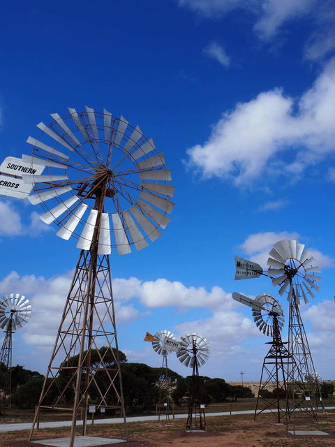 BIG4 Ceduna Tourist Park - Kawana Tourism 33