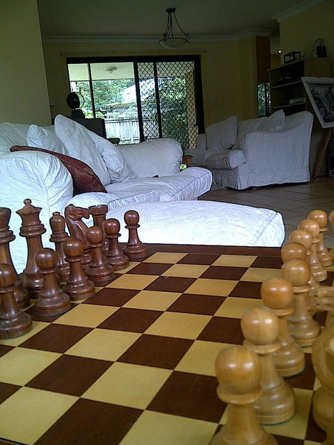 Byron Bay Guest - Kawana Tourism 17