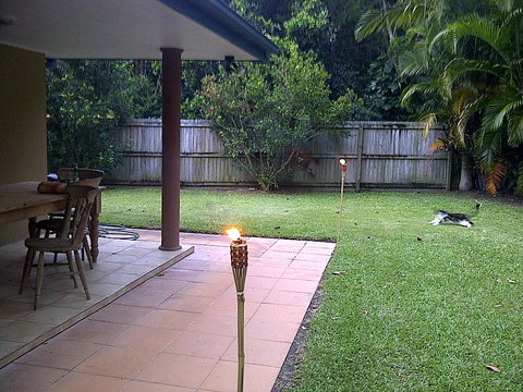 Byron Bay Guest - Kawana Tourism 9