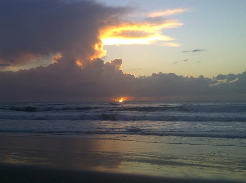 Byron Bay Guest - Kawana Tourism 1