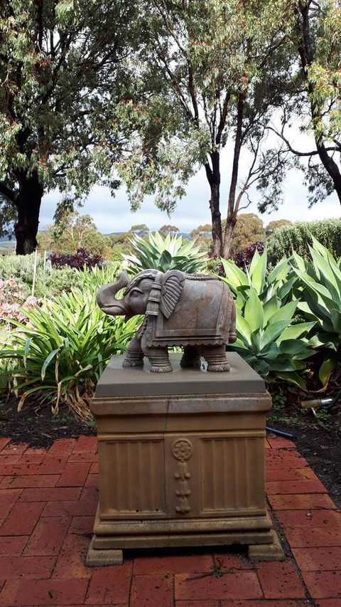 Linger Longer Vineyard - Kawana Tourism 18