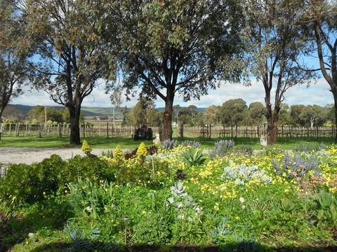 Linger Longer Vineyard - Kawana Tourism 17