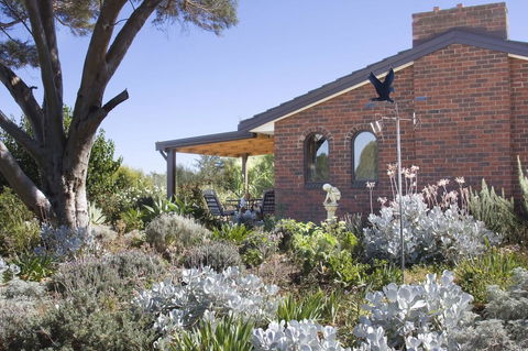 Linger Longer Vineyard - Kawana Tourism 13