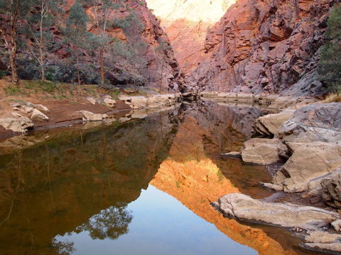 Arkaroola Wilderness Sanctuary - Kawana Tourism 6