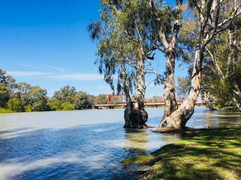 Echo Holiday Parks - Renmark - Kawana Tourism 5