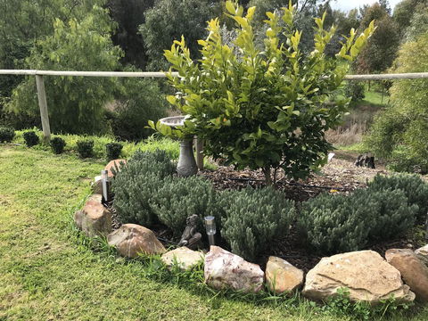 Adagio In Auburn - Kawana Tourism 18