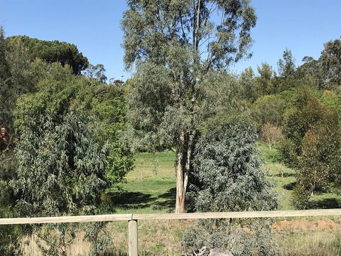 Adagio In Auburn - Kawana Tourism 25